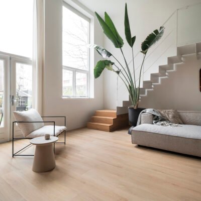 Hebeta 54821 Clermont collectie