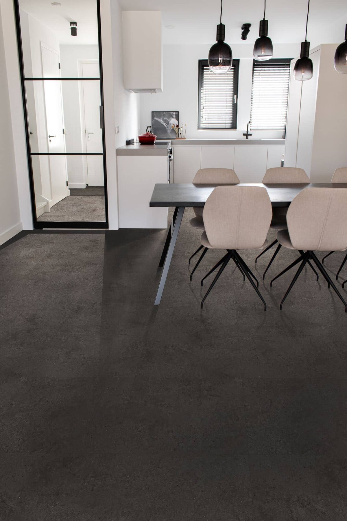 Gelasta Nova Dryback 6303 Artic Graphite