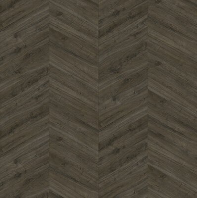 Gelasta Oakland Special 3706 Soil