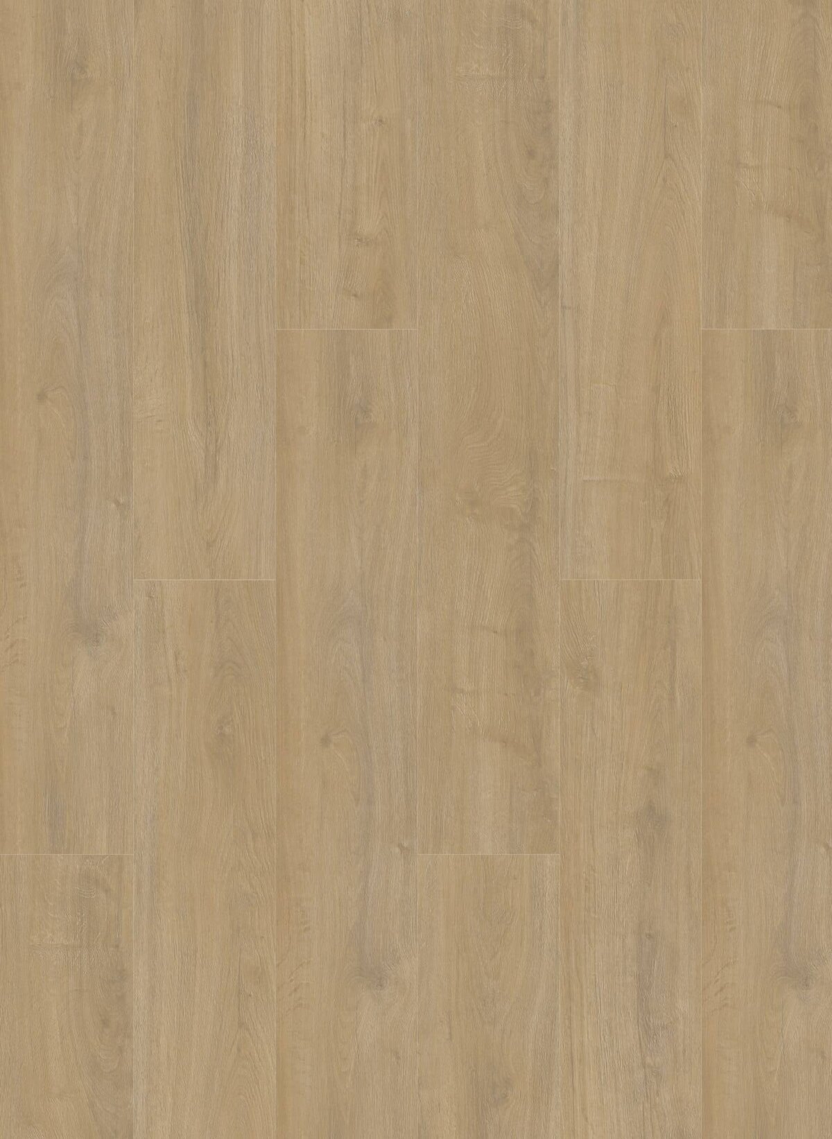 Gelasta Oakland Dryback 6100 Lime