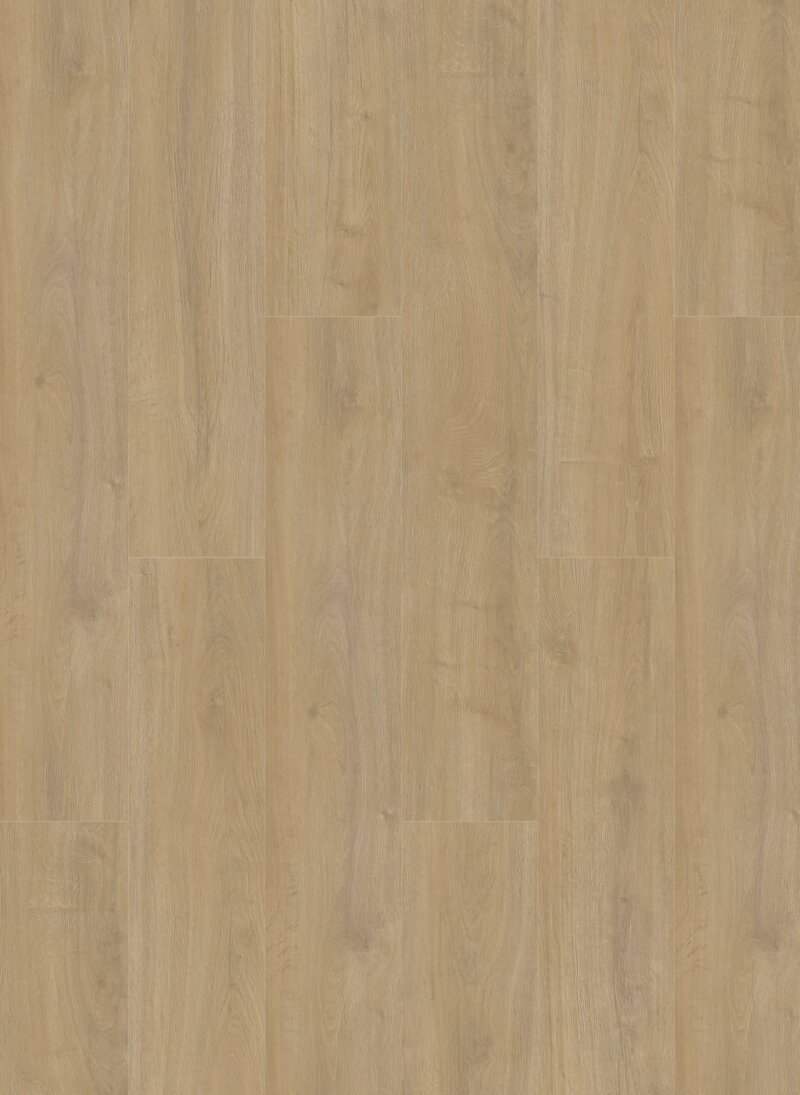 Gelasta Oakland Dryback 6100 Lime