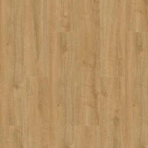 Oakland Dryback 6101 Natural