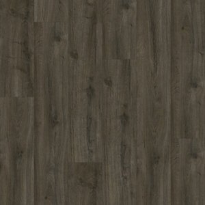 Gelasta Oakland Dryback 6106 Soil