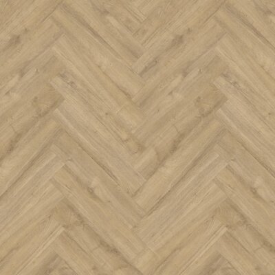 Gelasta Oakland Visgraat Dryback 6204 Smoked