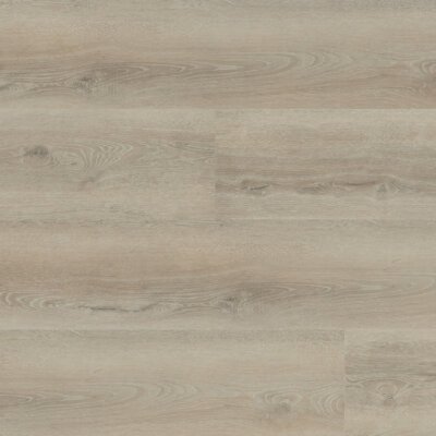 Hebeta 55816 Progress Rigid click