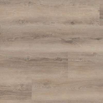 Hebeta 55817 Progress Rigid click