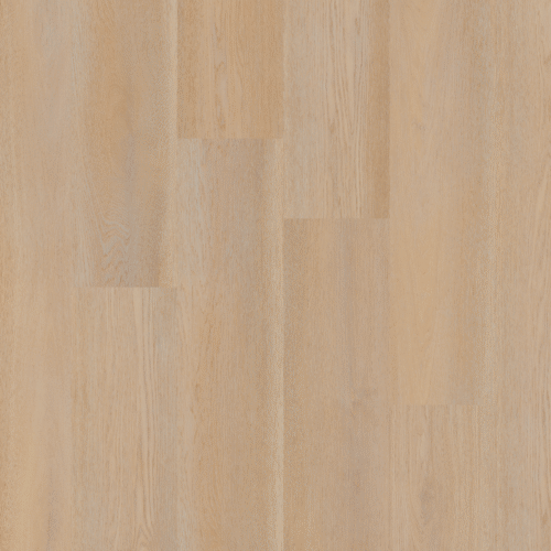 Therdex 15080 Premier serie