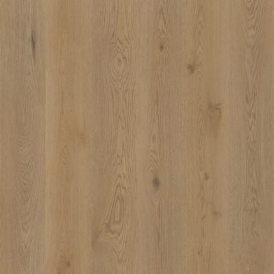 Therdex 15063 Authentic serie