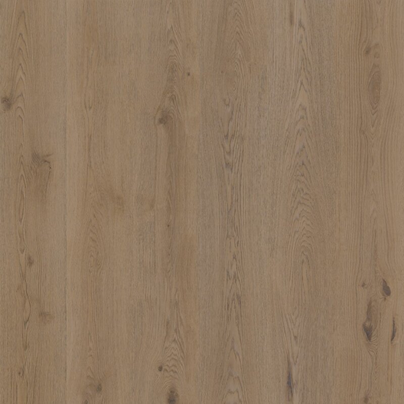 Therdex Authentic 15064 Therdex 15064 Authentic serie