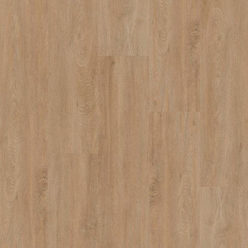 Therdex 2010 Basic serie