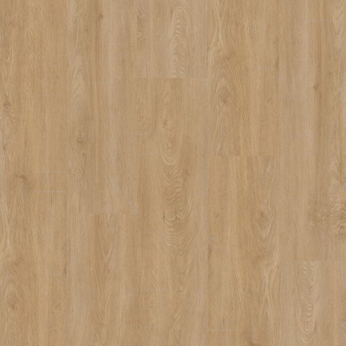 Therdex 2050 Basic serie