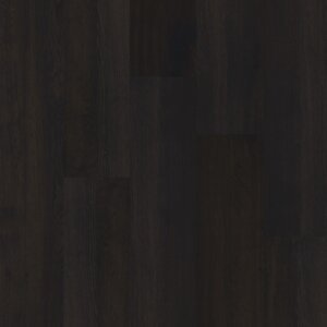 Therdex 70060 Premium serie