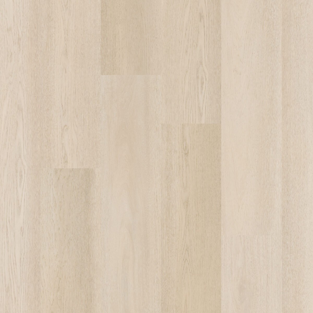 Therdex 15081 Premier serie