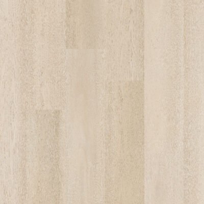 Therdex 15081 Premier serie