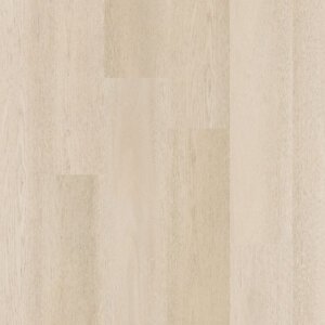 Therdex 15081 Premier serie