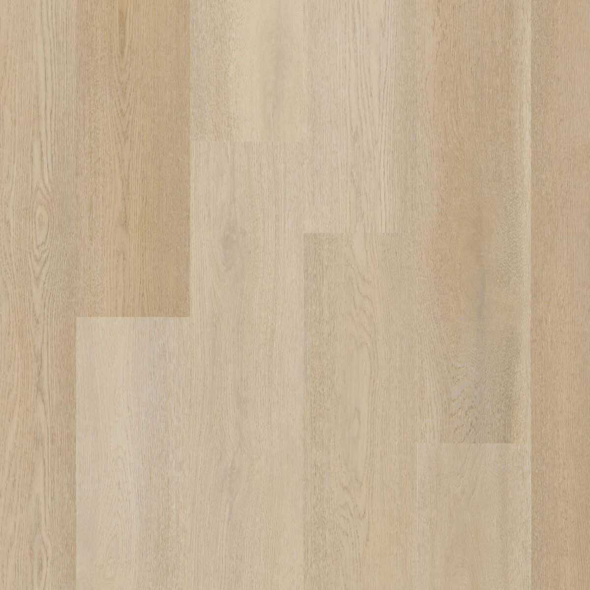 Therdex 15082 Premier serie