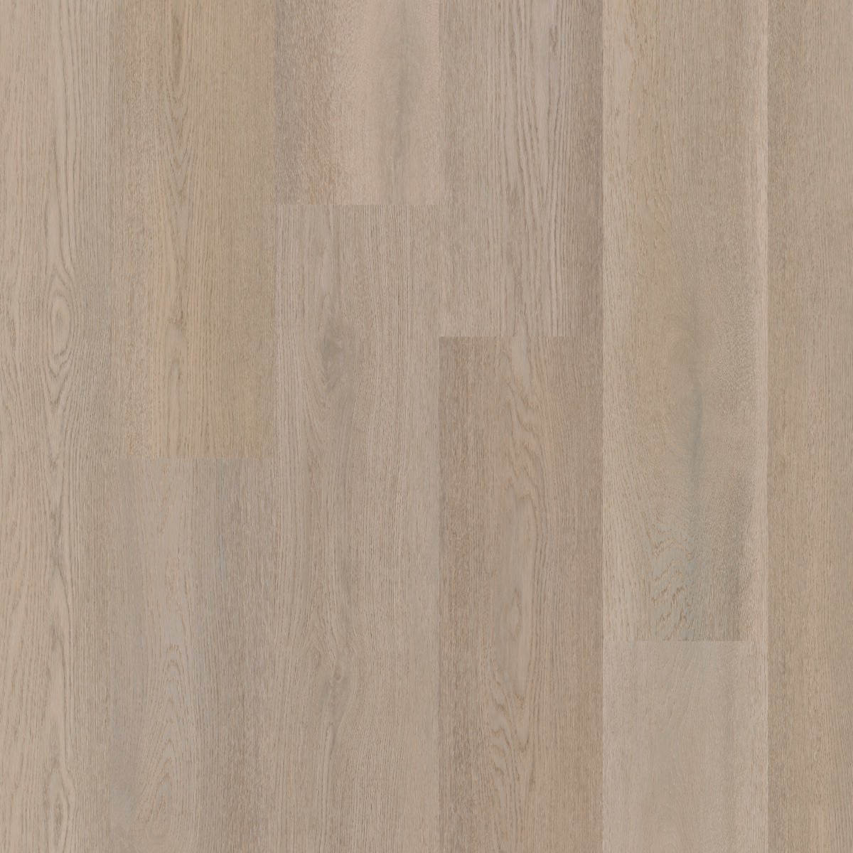 Therdex 15083 Premier serie