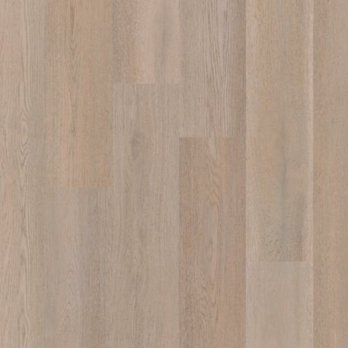 Therdex 15083 Premier serie