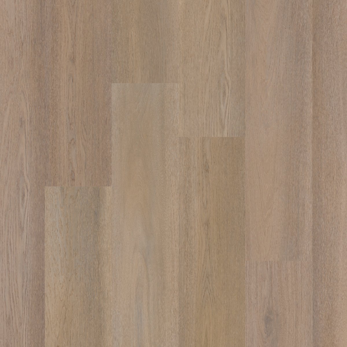 Therdex 15084 Premier serie