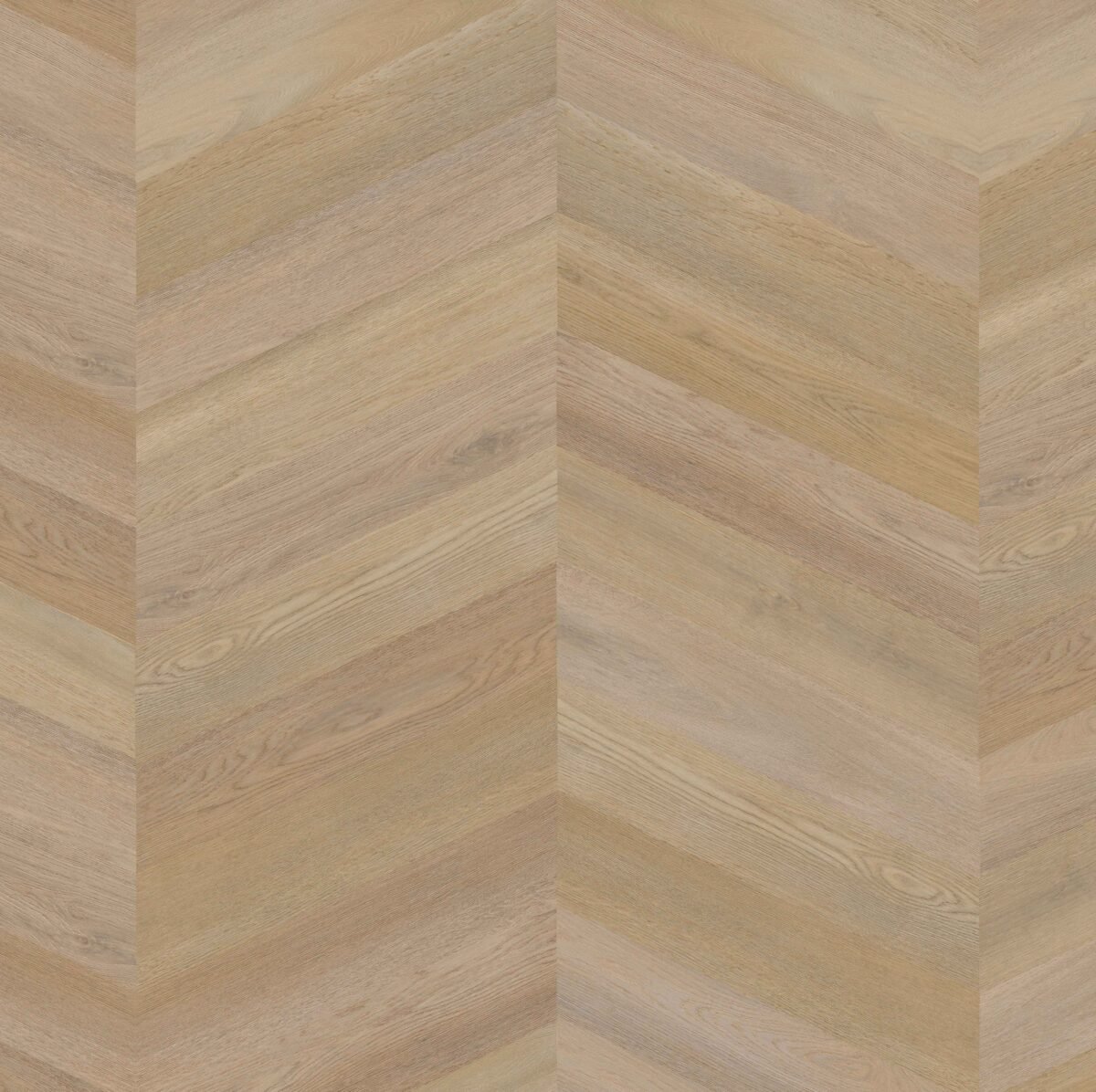 Therdex 6584 Premier serie