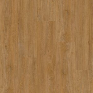Therdex 2540 Regular serie