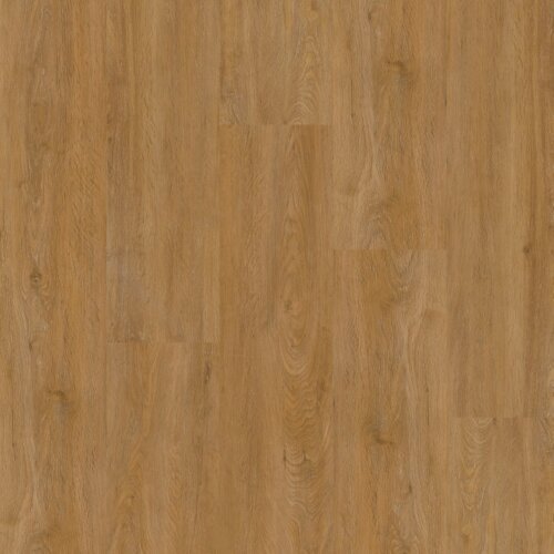 Therdex 2540 Regular serie