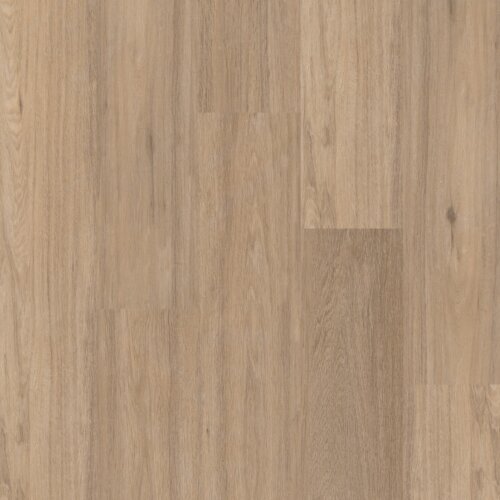 Therdex C3020 Regular serie rigid click