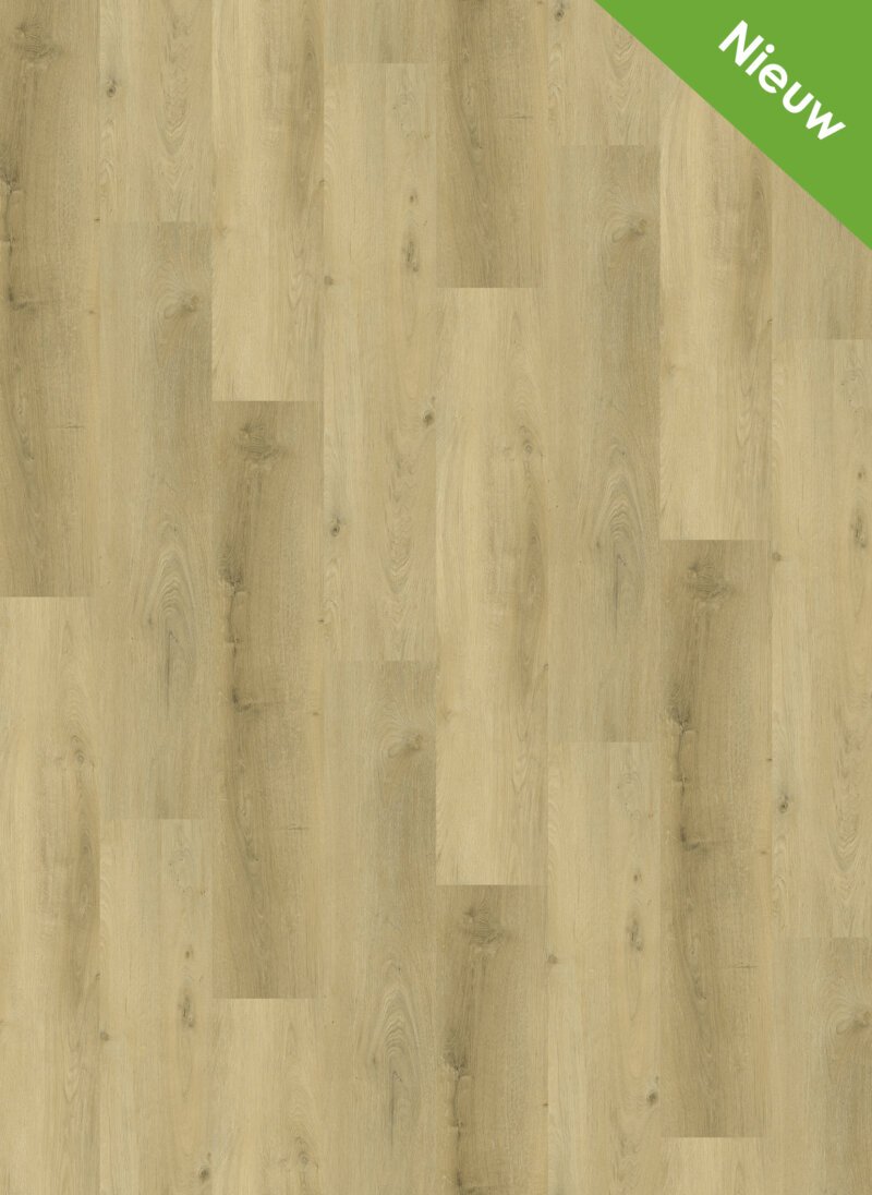 Gelasta Vario Dryback 4905 Prestige Oak Smoked Light