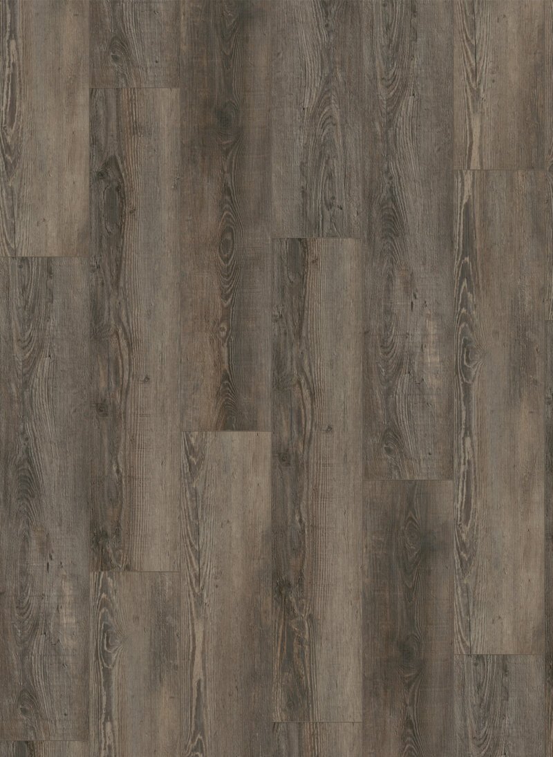 city 5605 Gelasta City Rigid Click 5605 Olympia Pine Brown