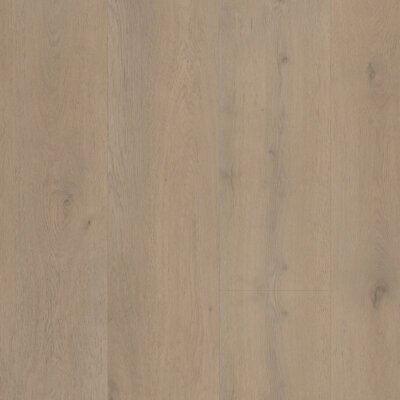 Belakos PVC Attico-820