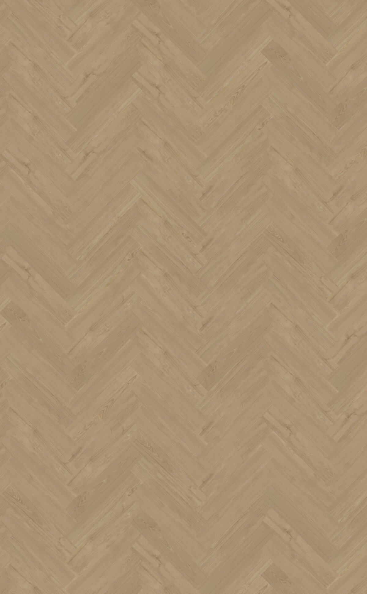 Belakos Portico_visgraat_XL_54