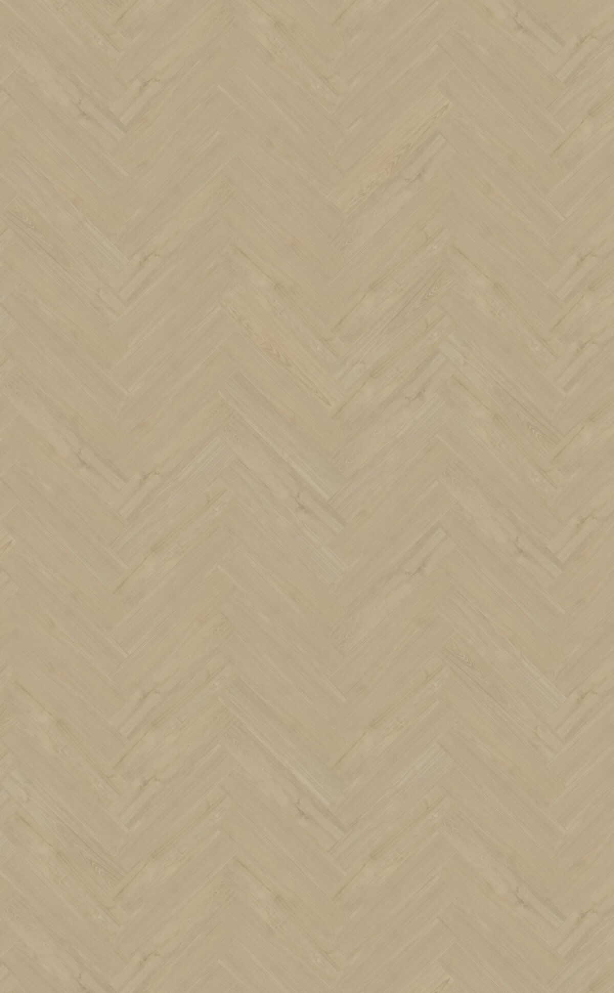 Belakos Portico_visgraat_XL_57
