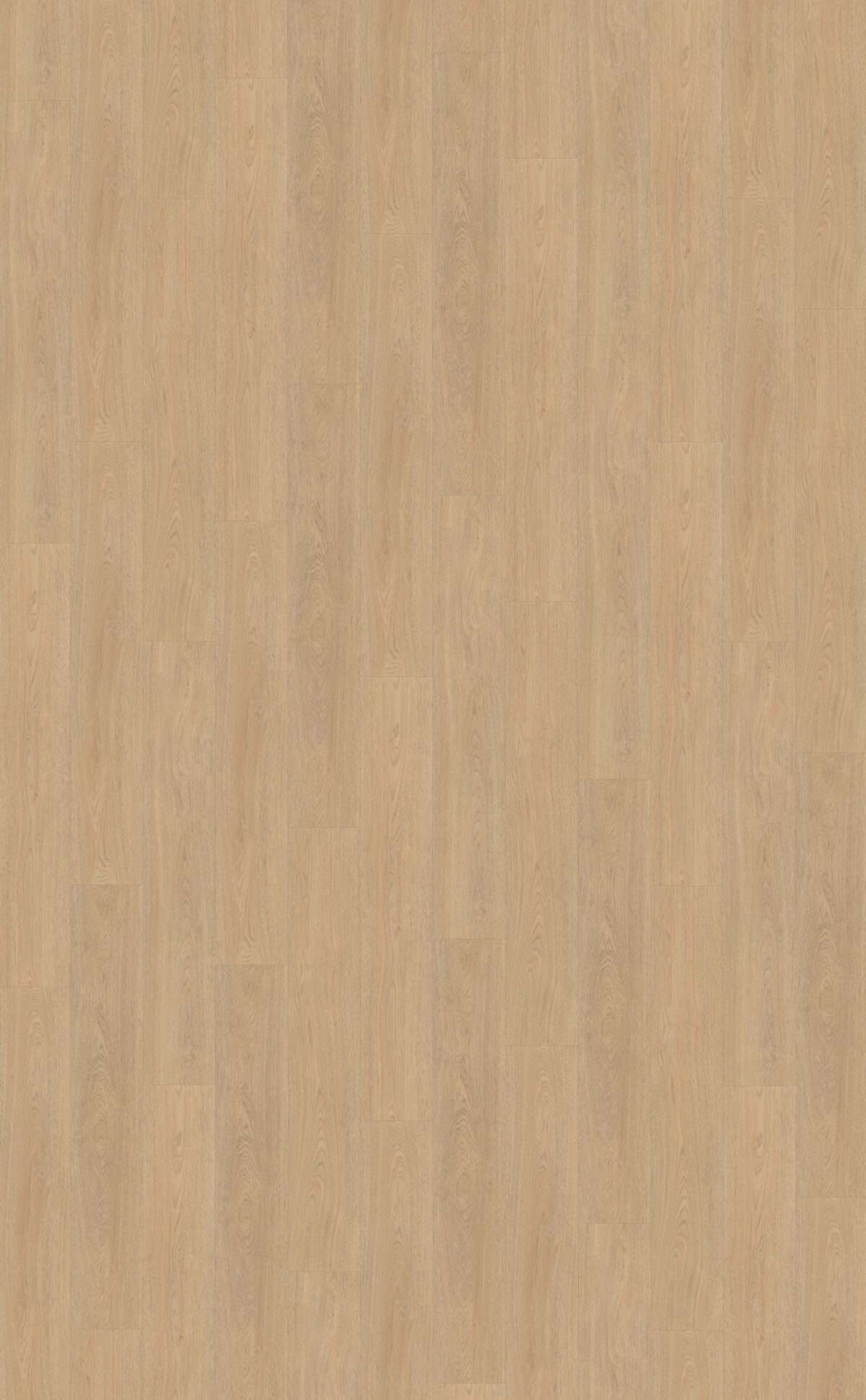 Belakos PVC Terreno_610