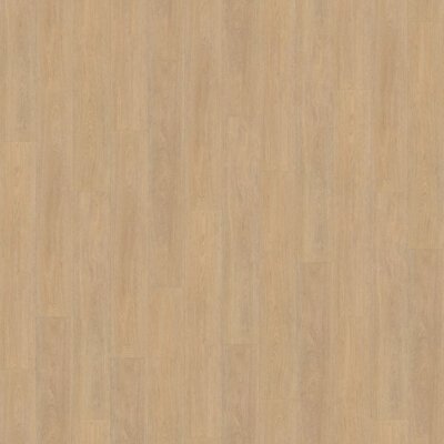 Belakos PVC Terreno_610