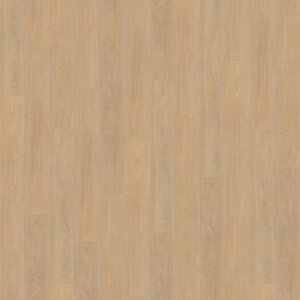 Belakos PVC Terreno_610
