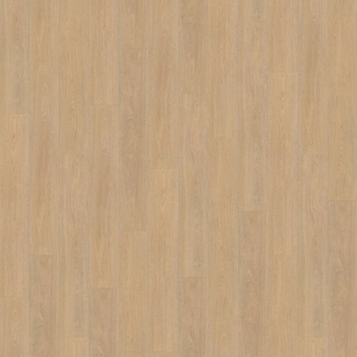 Belakos PVC Terreno_610
