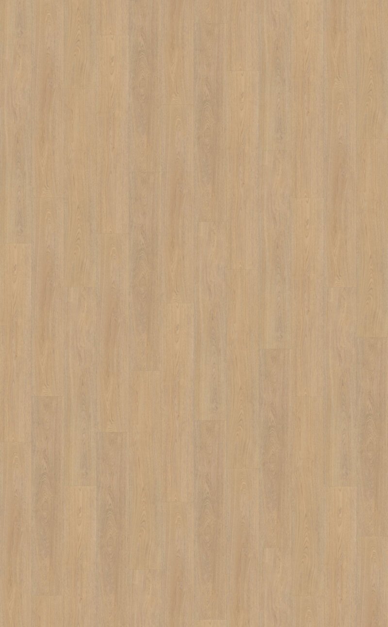 Belakos PVC Terreno_610