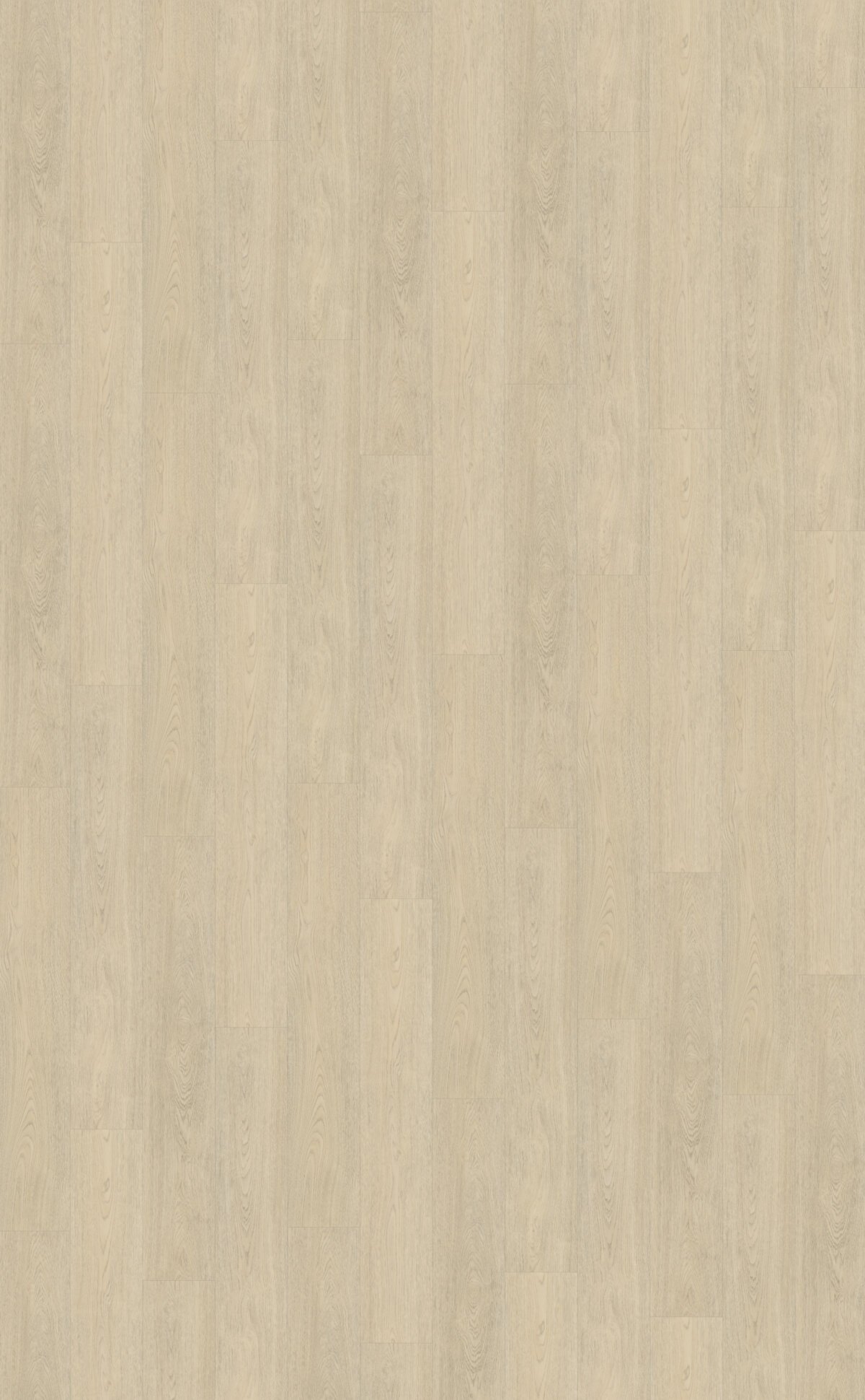 Belakos PVC Terreno_620
