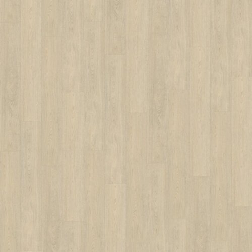Belakos PVC Terreno_620