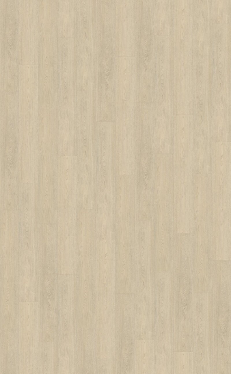 Belakos PVC Terreno_620